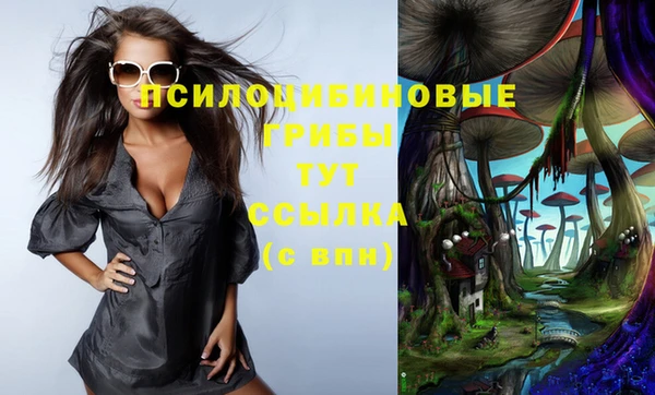 гашиш Вяземский