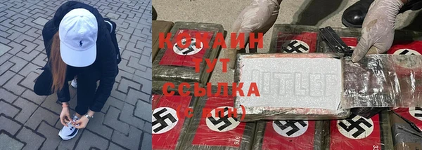 хмурый Вязьма